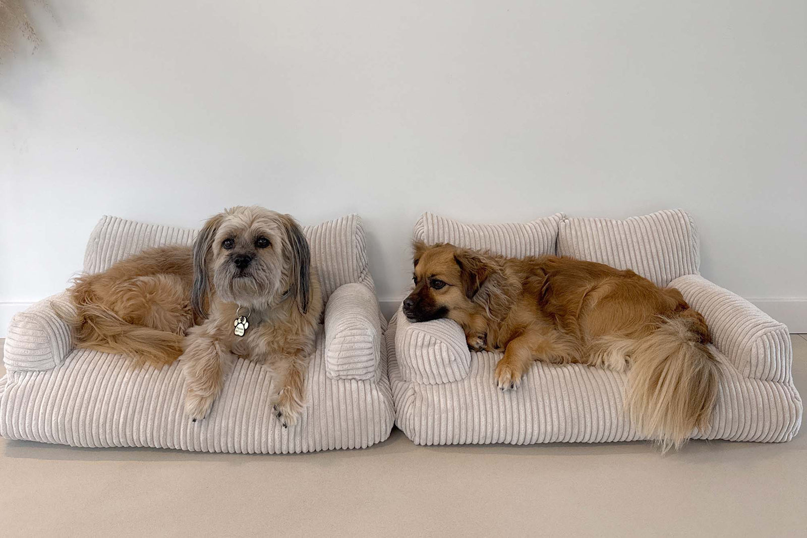 Pet Sofa Corduroy Vanilla